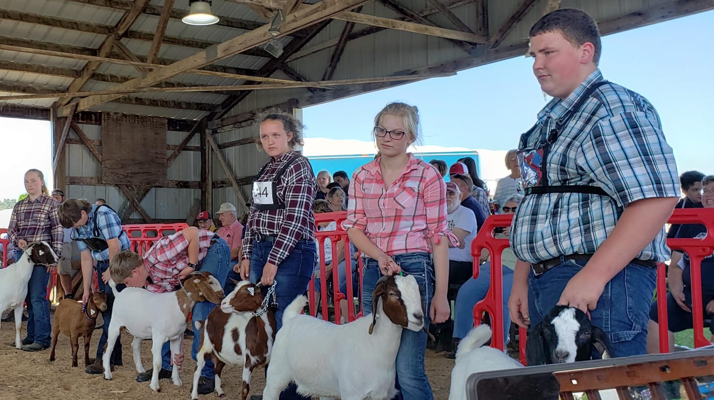 Sauk County Fair, Baraboo, Wisconsin